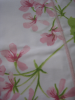 Flat bed sheet + pillowcase(s) 65x65 cm tendresse 100% cotton percale