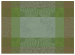 Placemat 39x55 cm 100% cotton Elephant and savannah green and brown