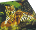 Duvet cover 140x200 + 1 pillowcase 65x65 Tigers 50% cotton and 50% polyester