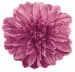 Badmat roze bloem met diameter van 100 cm 100% badstof katoen 1900 gr/m²