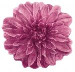 Tapis de bain fleur rose 100 cm de diamètre 100% coton éponge 1900 gr/m²