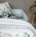 Taie de traversin 86x185 cm eucalyptus 100% coton percale peigné 80 fils/cm²