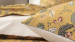 Drap de lit plat + taie d'oreiller 100% coton percale imprimé Animaux sauvages