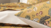 Flat bed sheet + pillowcase 100%printed cotton percale Wild animals