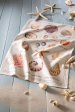 Towels for dishes 54% cotton and 46% linen 50x75 cm Printed shells