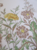 Dandelion Fields handkerchief  31x31 cm cotton printed and hand rolled Lehner