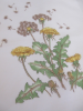 Dandelions zakdoek   31x31 cm katoen bedrukt en handgerold, Lehner