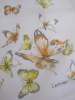 Mouchoir L'envolée de papillons 31x31 cm coton imprimé et roulé main Lehner