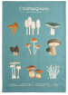 Towels for dishes 54% cotton and 46% linen 50x75 cm Printed Mushrooms