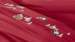 Bettbezug + Kissenbezug 65x65cm, 100 % Baumwollperkal, bestickt mit Red Chalet