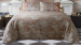 Duvet cover (and pillowcase) 100% cotton satin Acquaforte Bassetti