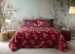 Duvet cover (and pillowcase) 100% cotton sateen Esperidi  Bassetti